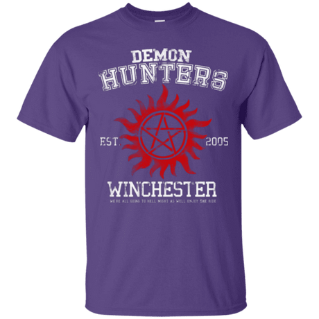 Demon Hunters t-shirt