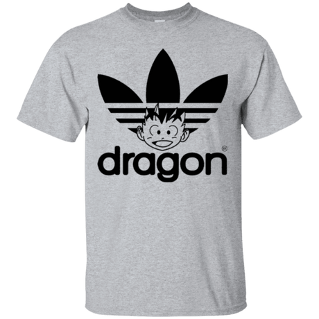 Dragon t-shirt