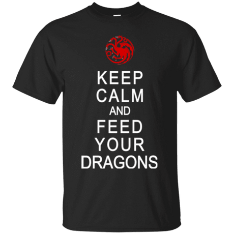 Feed dragons t-shirt
