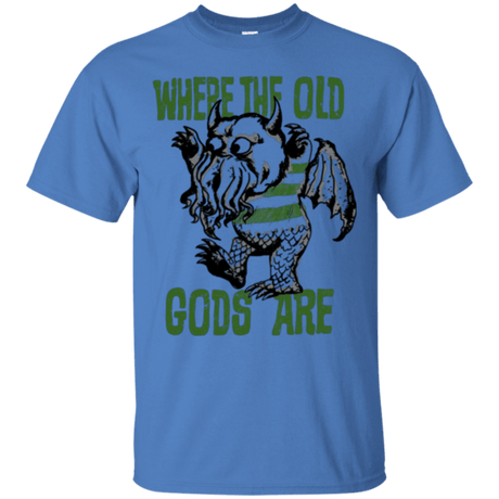 Old Gods t-shirt