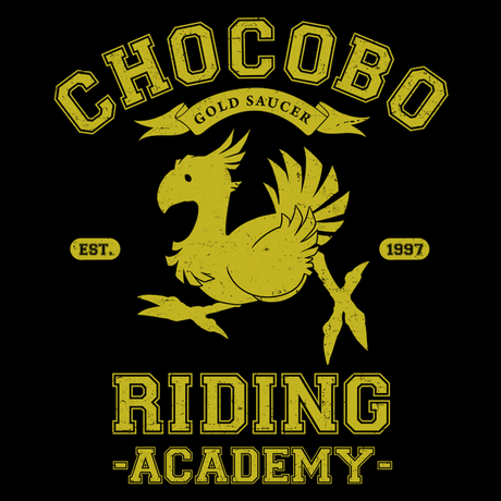 Riding Academy t-shirt