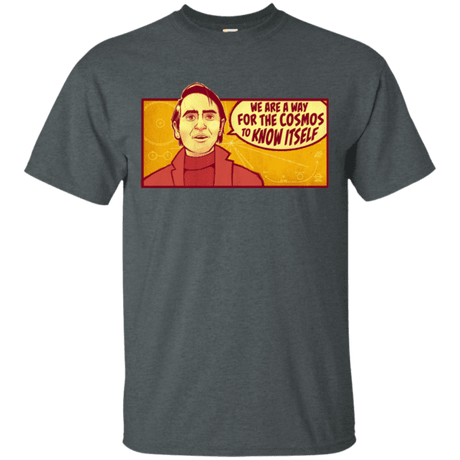 Sagan Cosmos tees