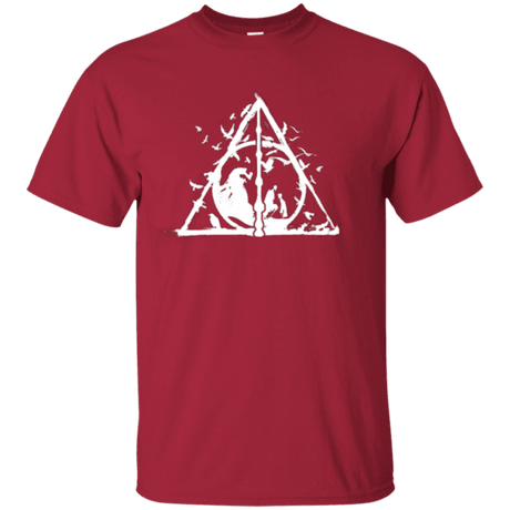 Cool Harry Potter tees