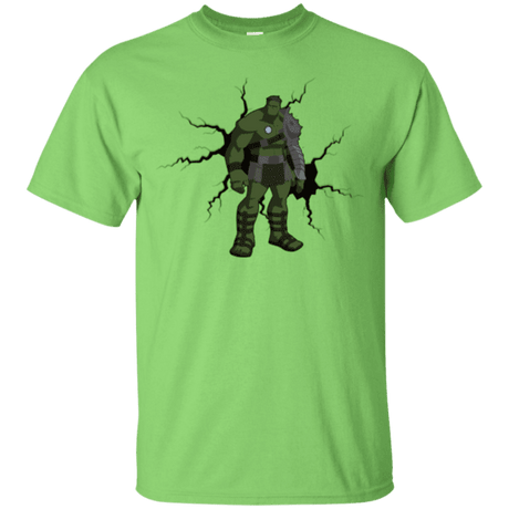 The Hulk t-shirt