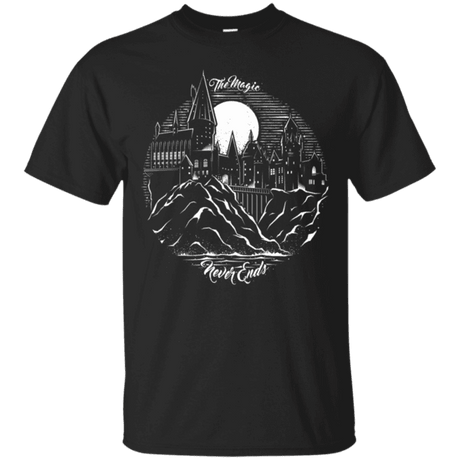 harry potter hogwarts