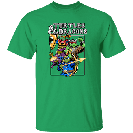 Turtles and Dragons Youth T-Shirt