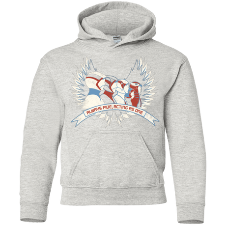 Sweatshirts Ash / YS Always Five Acting As One Youth Hoodie