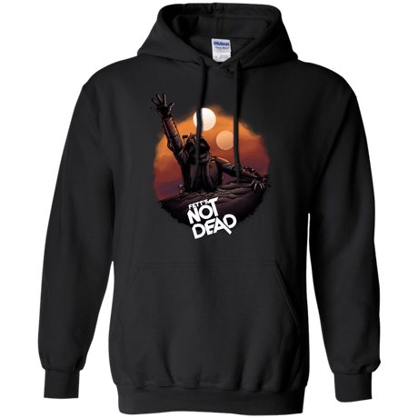 Sweatshirts Black / Small Back From The Pit Pullover Hoodie