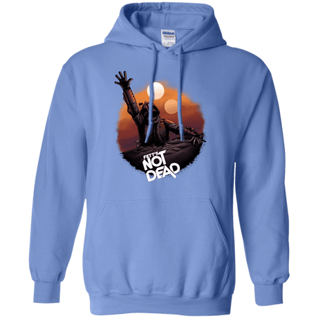 Sweatshirts Carolina Blue / Small Back From The Pit Pullover Hoodie