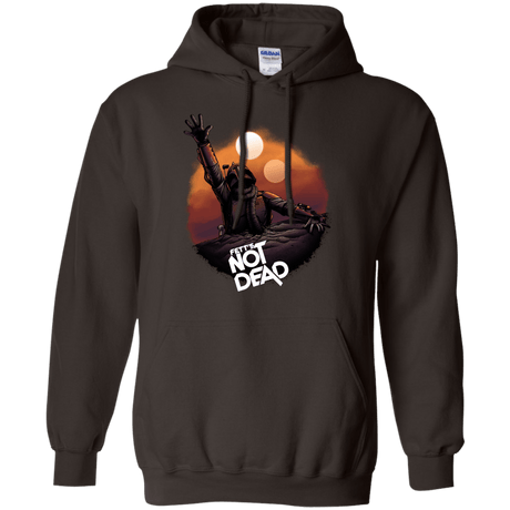 Sweatshirts Dark Chocolate / Small Back From The Pit Pullover Hoodie