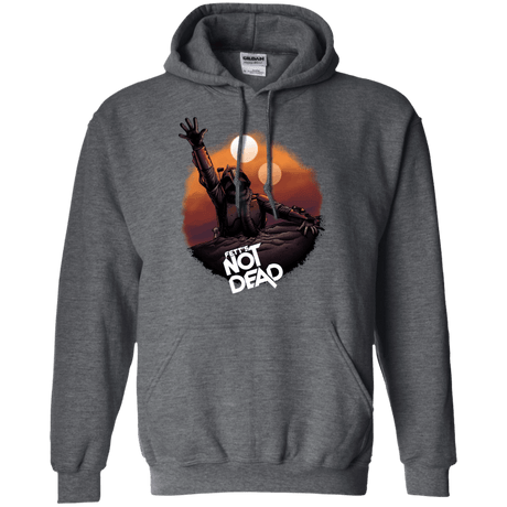 Sweatshirts Dark Heather / Small Back From The Pit Pullover Hoodie