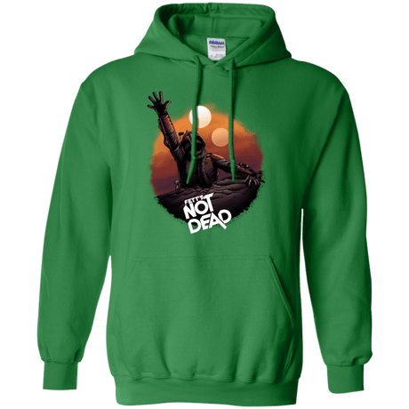 Sweatshirts Irish Green / Small Back From The Pit Pullover Hoodie