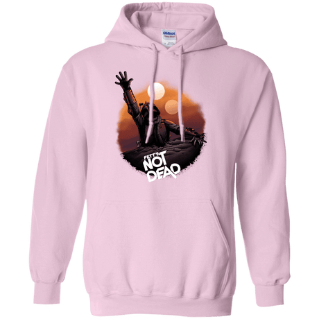 Sweatshirts Light Pink / Small Back From The Pit Pullover Hoodie