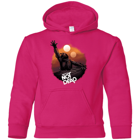 Sweatshirts Heliconia / YS Back From The Pit Youth Hoodie