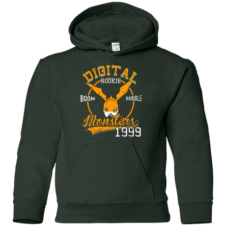 Sweatshirts Forest Green / YS BOOM BUBBLE Youth Hoodie