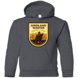 Sweatshirts Charcoal / YS Desert Tours Youth Hoodie