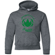 Sweatshirts Dark Heather / YS Dragonzord Power Youth Hoodie