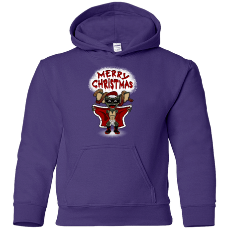 Sweatshirts Purple / YS Flashing Through The Snow Youth Hoodie