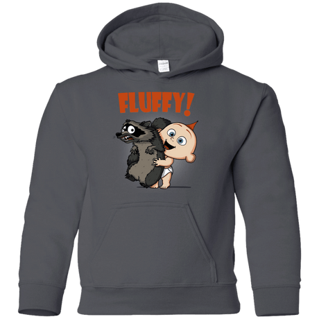 Sweatshirts Charcoal / YS Fluffy Raccoon Youth Hoodie