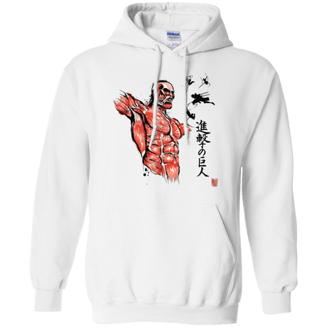 Sweatshirts White / Small Flying for Freedom Pullover Hoodie