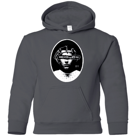 Sweatshirts Charcoal / YS God Save The Lab Test Youth Hoodie