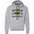 Sweatshirts Sport Grey / Small Gotham University Premium Fleece Hoodie