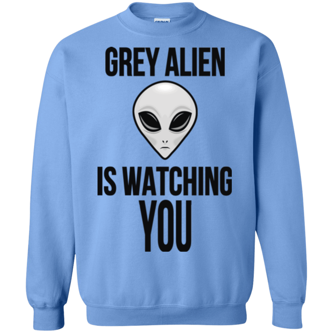Sweatshirts Carolina Blue / Small Grey Alien Crewneck Sweatshirt