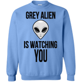 Sweatshirts Carolina Blue / Small Grey Alien Crewneck Sweatshirt