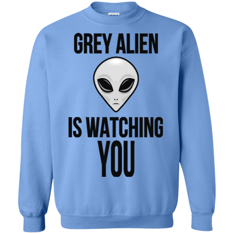 Sweatshirts Carolina Blue / Small Grey Alien Crewneck Sweatshirt