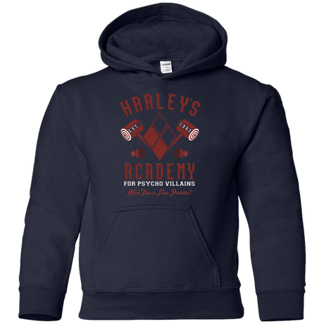 Sweatshirts Navy / YS Harley's Academy Youth Hoodie