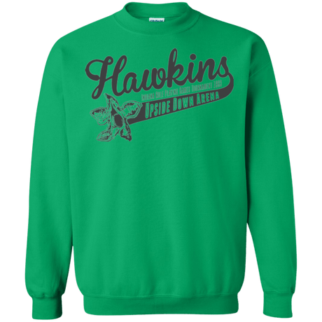 Sweatshirts Irish Green / Small Hawkins Role Playing Tournament Crewneck Sweatshirt