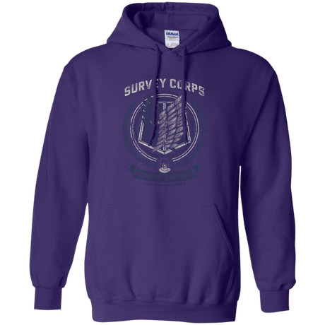 Sweatshirts Purple / Small Hope of Mankind Pullover Hoodie