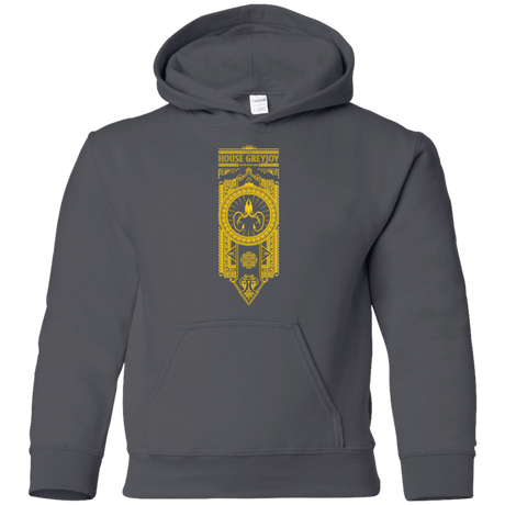 Sweatshirts Charcoal / YS House Greyjoy Youth Hoodie