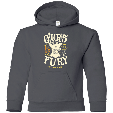 Sweatshirts Charcoal / YS House of Fury Youth Hoodie