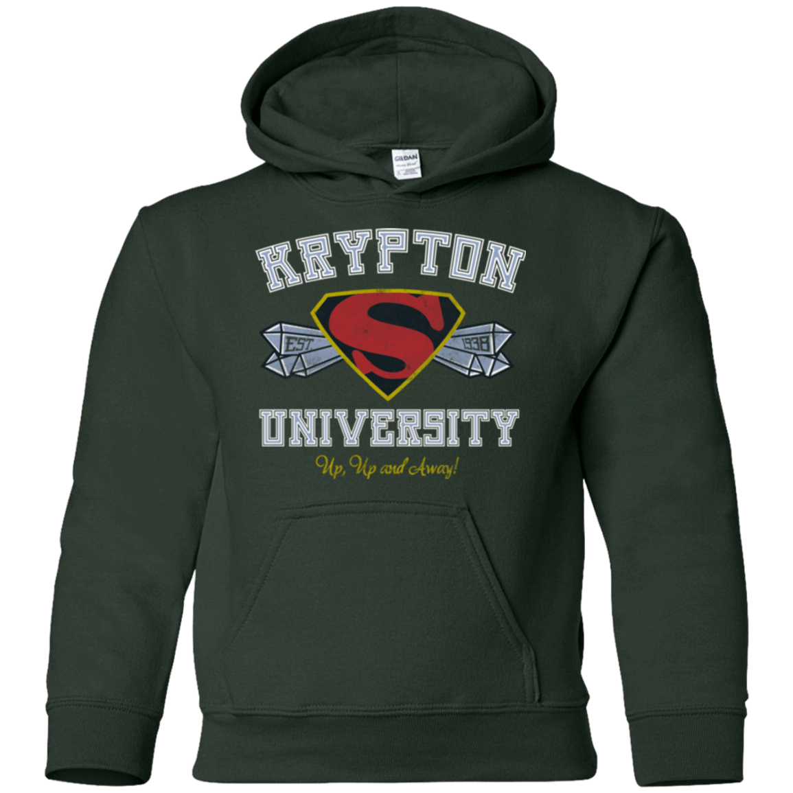Sweatshirts Forest Green / YS Krypton University Youth Hoodie