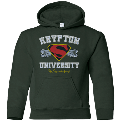 Sweatshirts Forest Green / YS Krypton University Youth Hoodie