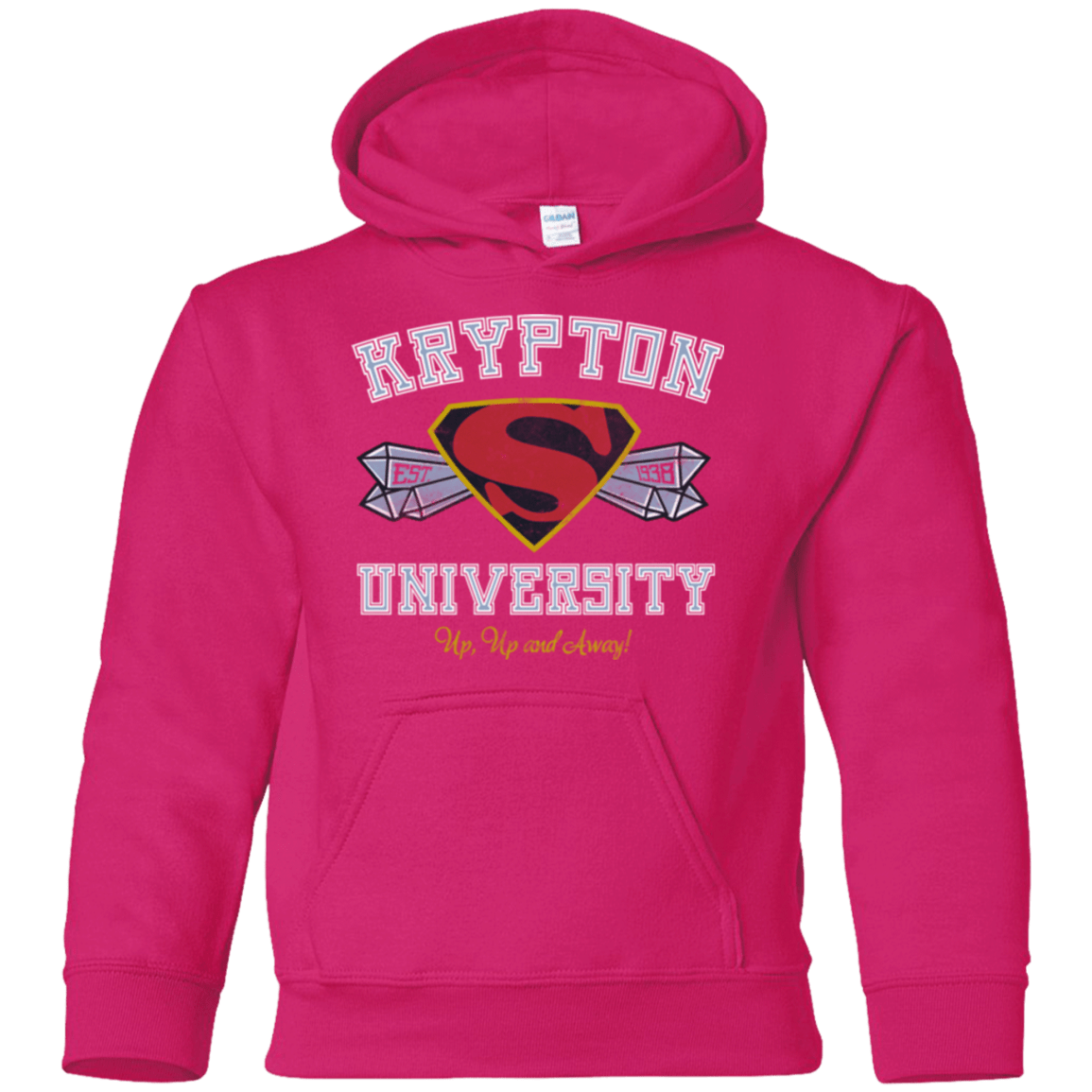Sweatshirts Heliconia / YS Krypton University Youth Hoodie