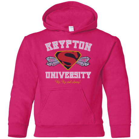 Sweatshirts Heliconia / YS Krypton University Youth Hoodie