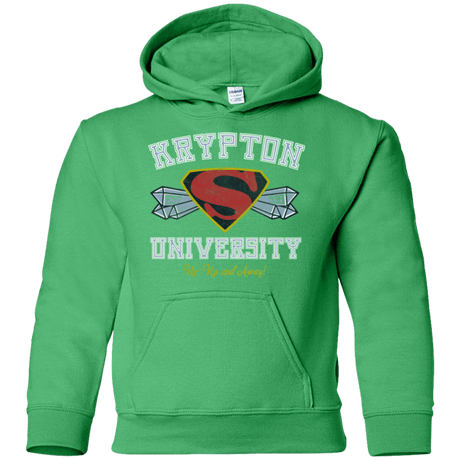 Sweatshirts Irish Green / YS Krypton University Youth Hoodie