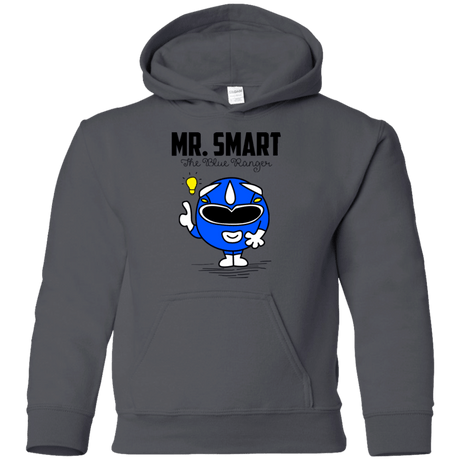 Sweatshirts Charcoal / YS Mr Smart Youth Hoodie