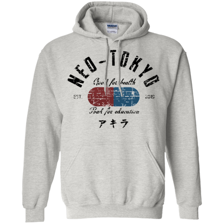 Sweatshirts Ash / Small Neo Tokyo Pullover Hoodie