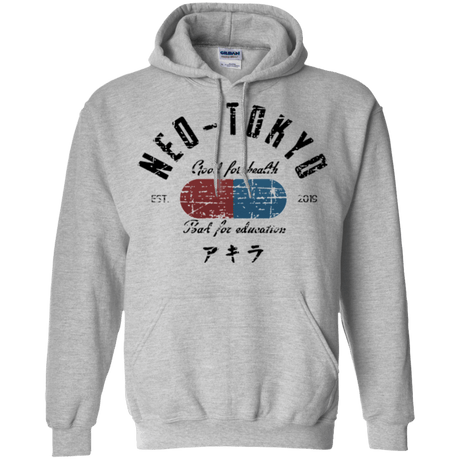 Sweatshirts Sport Grey / Small Neo Tokyo Pullover Hoodie