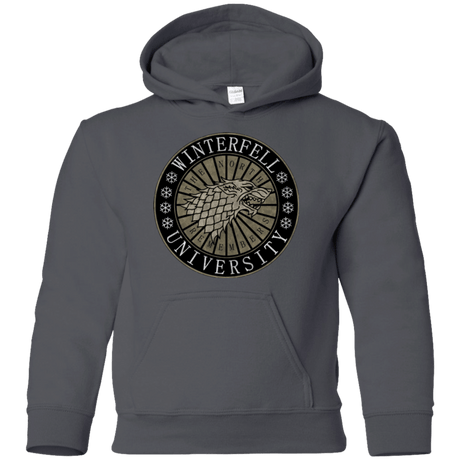 Sweatshirts Charcoal / YS North university Youth Hoodie