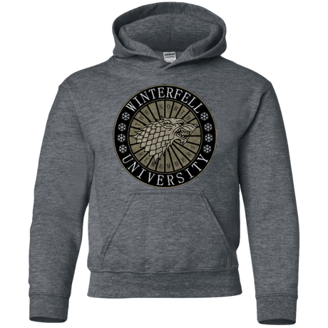 Sweatshirts Dark Heather / YS North university Youth Hoodie