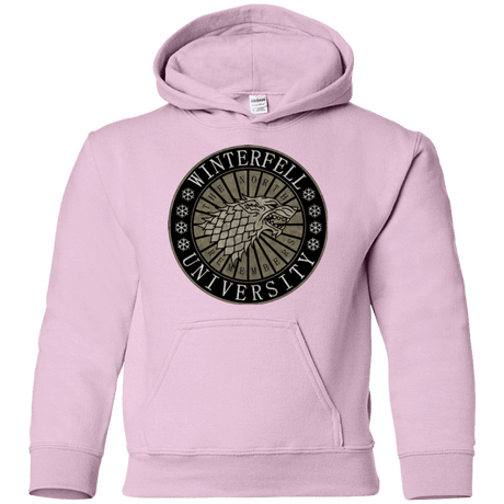 Sweatshirts Light Pink / YS North university Youth Hoodie