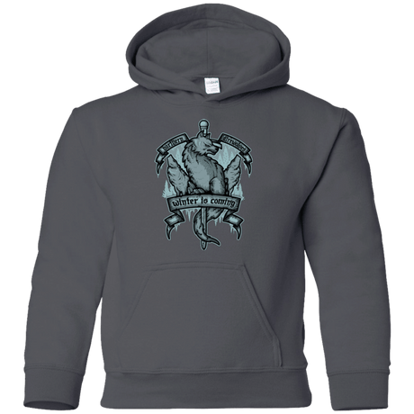 Sweatshirts Charcoal / YS Northern Direwolves Youth Hoodie