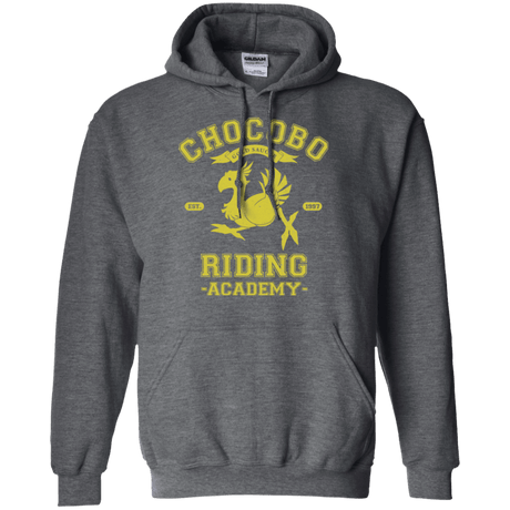 Sweatshirts Dark Heather / Small Riding Academy Pullover Hoodie