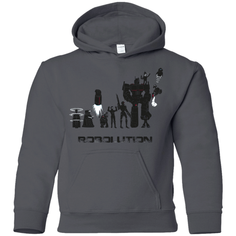 Sweatshirts Charcoal / YS Robolution Youth Hoodie