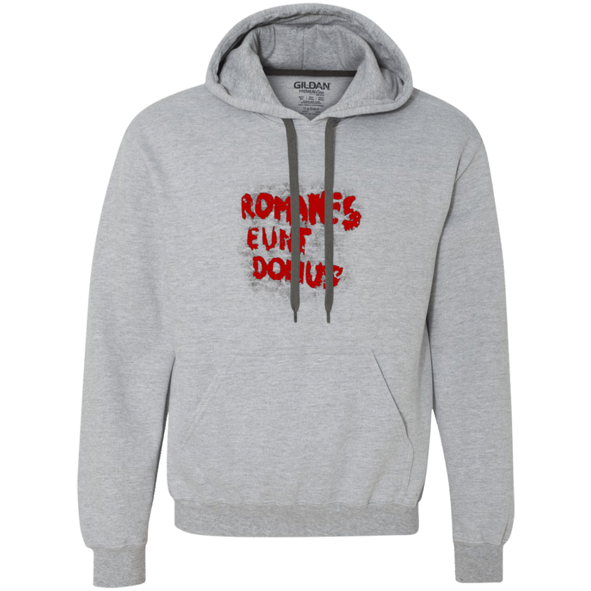 Sweatshirts Sport Grey / Small Romanes eunt Premium Fleece Hoodie