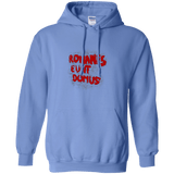 Sweatshirts Carolina Blue / Small Romanes eunt Pullover Hoodie